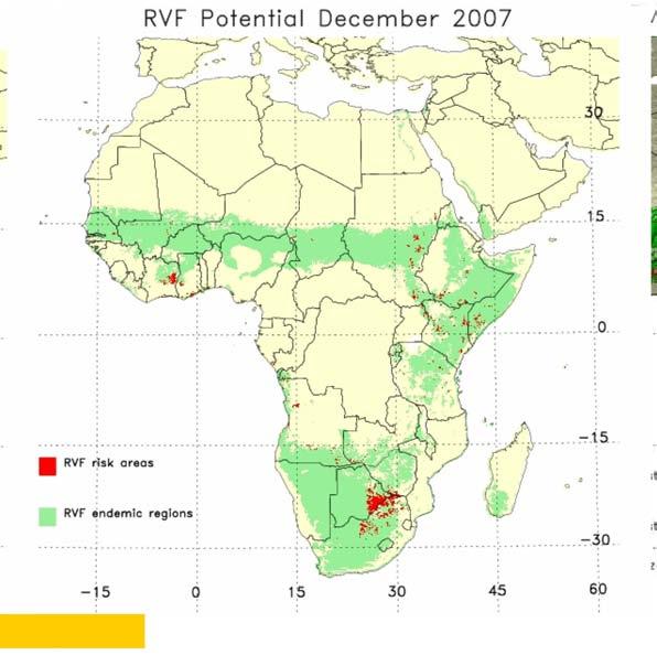 risk was predict for eastern Africa, -outbreaks occurred Dec 2007: high risk