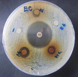 methanol ethanol ethyl acetate Fig 5: Diameter of clear