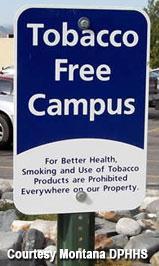 The Tobacco-Free College Campus Initiative Making the Case for Your Campus Going Tobacco-Free Clifford E. Do