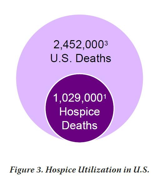 Hospice Facts In 2010