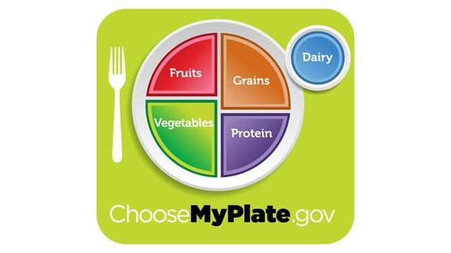 What are the food groups for the NEW MyPlate?
