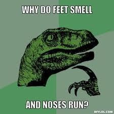 Some reasons your nose likes to run: 1. Cold weather inhibits regular cilia activity, allowing the mucus to get out of control 2.