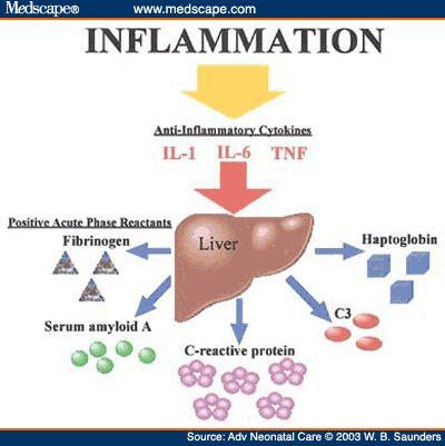 INFLAMMATION PROINFLAMMATORY CYTOKINES IL-1, IL-6, TNF-α ACUTE PHASE