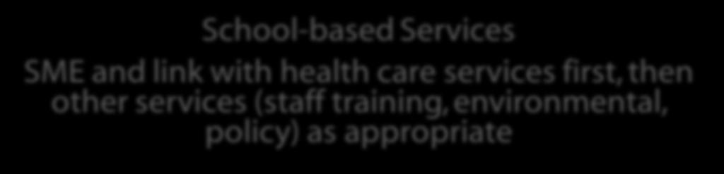 other services (staff training, environmental, policy)