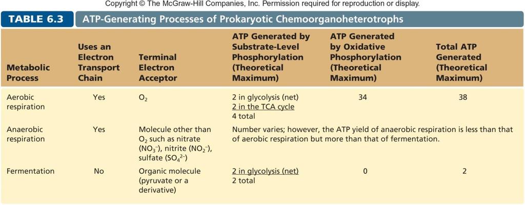 Three types of Glucose metabolism Aerobic Respiration