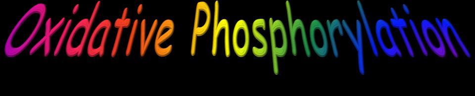 43 xidative Phosphorylation As electrons move along the electron transport chain, about 52.