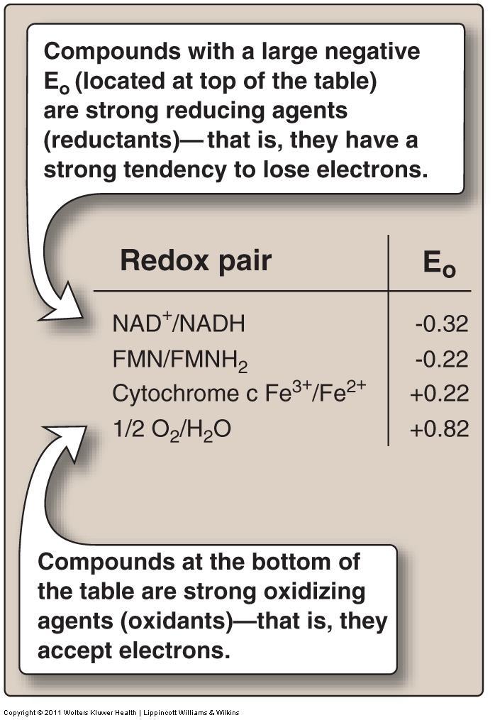 Release of free energy during electron transport When E ο of redox pairs negative (reductant agent tend to loss electron). When E ο of redox pairs positive (oxidant agent tend to loss electron).