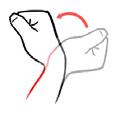 Begin wrist and hand exercises: Bend the wrist forwards and backwards Tilt the wrist from side to side. Circle the wrist in a clockwise and anticlockwise direction. Squeeze and make a fist.