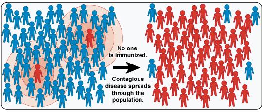Herd Immunity Vaccines.