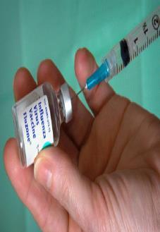 Does Influenza Vaccine Protect from H1N1?