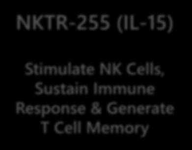 Infiltration of T cells into tumors (CTLs, endothelial cells) NKTR-255