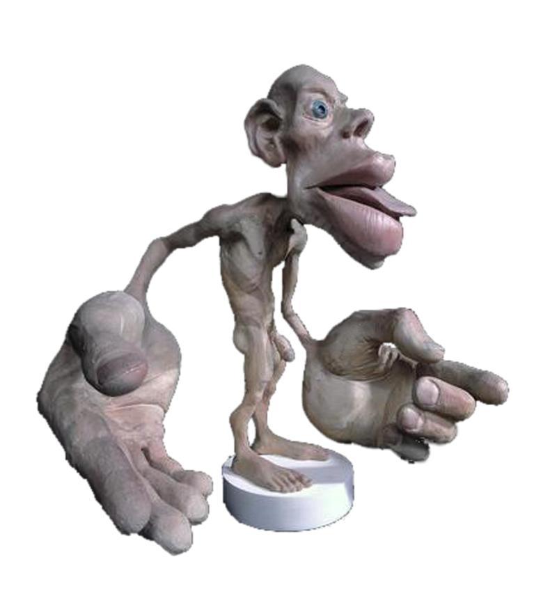 Sensory homunculus Distortions occur because area of sensory cortex devoted to particular body region is not proportional to region s size, but to number of sensory receptors it