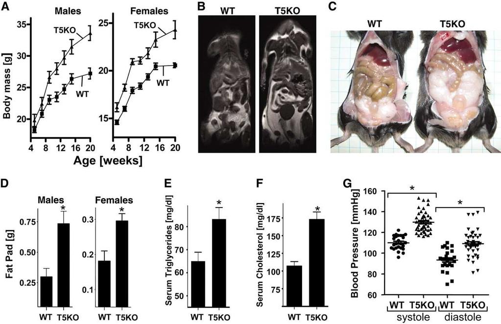 TLR5 KO mice develop obesity (Vijay-Kumar et al.