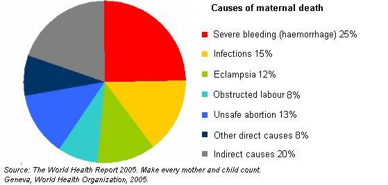 The main causes of maternal mortality are: These causes are preventable if women have access to