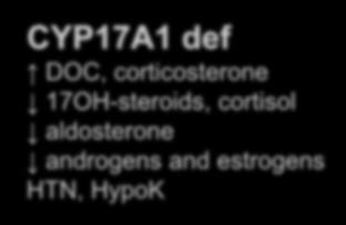 Steroidogenesis Pathway DHT