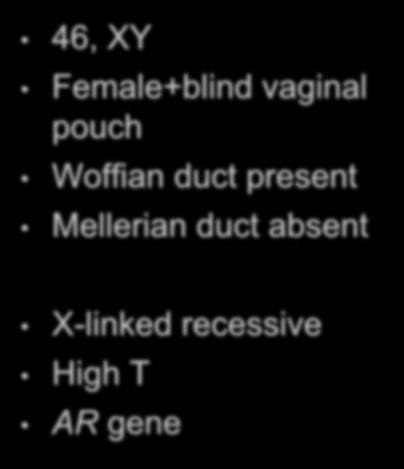 Female+blind vaginal pouch