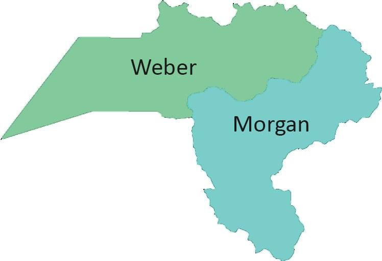 Weber-Morgan Service Area 2016 Early Childhood Immunization 24-35 months of Age 6 Children in USIIS born between 07/02/2013 and 07/01/2014 3,796 3 doses DTaP 3,473 91.5% 4 doses DTaP 3,052 80.