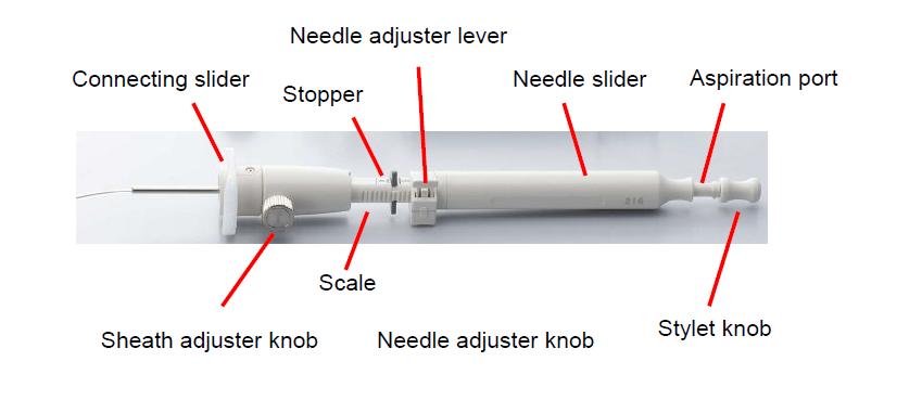 Convex probe EBUS (CP-EBUS) The lockable sheath prevents injury to the scope during needle protrusion Outer diameter 6.3-6.