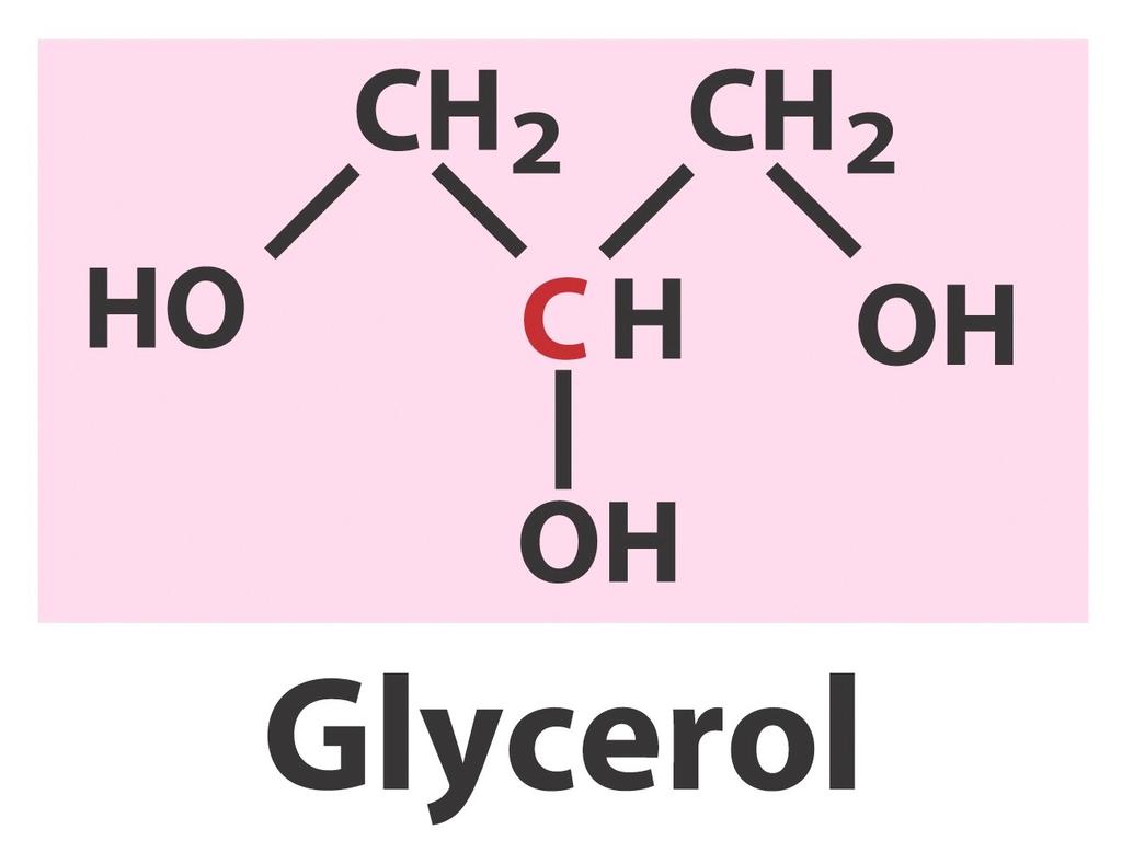 Triacylglycerols (Triglycerides) Storage lipid (fats) 3 fatty acids (same or different) attached to each glycerol (three condensation reactions between alcohol and carboxylic acid - esterification)