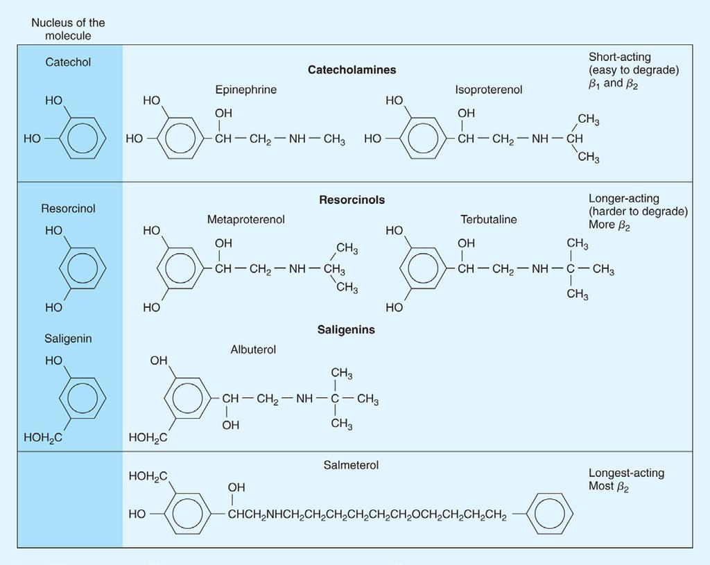 Insert Figure 5-8 Figure 5 8: Catecholamine, Resorcinol, and Saligenin Chemical