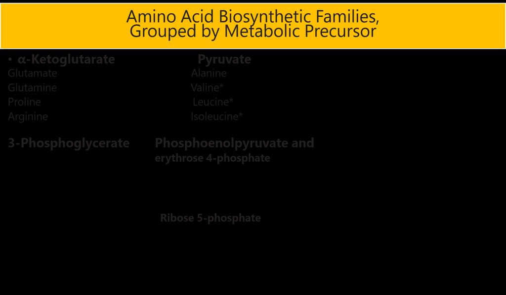 -the ones with * are the essential amino acids-