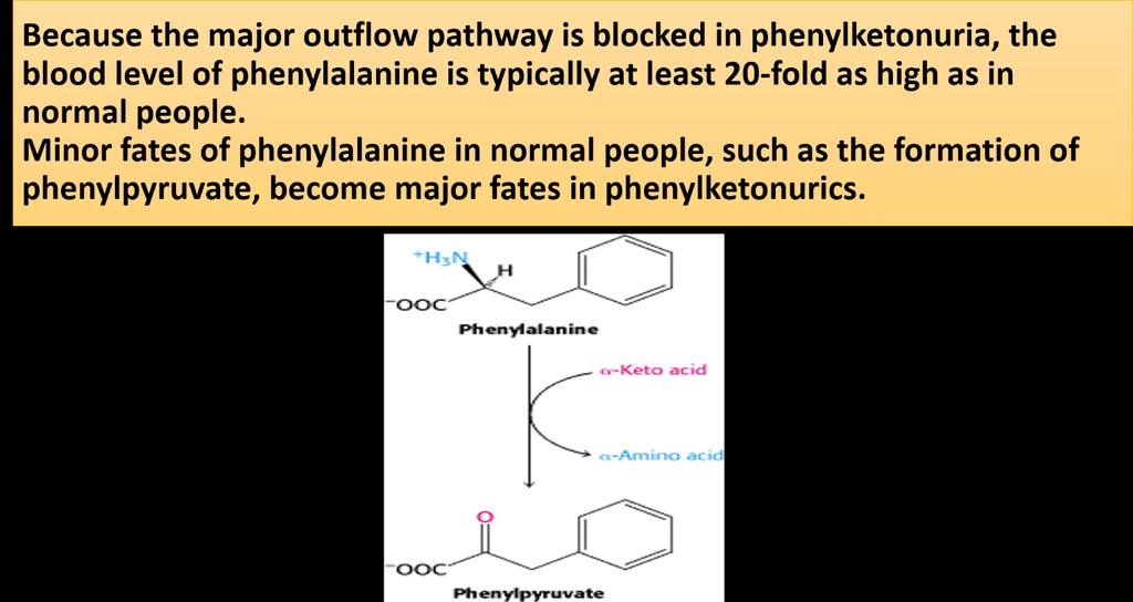 - Normal pathways (phenylalanine -> tyrosine -> melanin -> tissue protease -> catecholamines ->