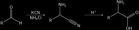 Strecker amino-acid synthesis Amino Acids Synthesis of amino acids is a series of chemical reactions that synthesize an amino acid from an aldehyde or ketone The
