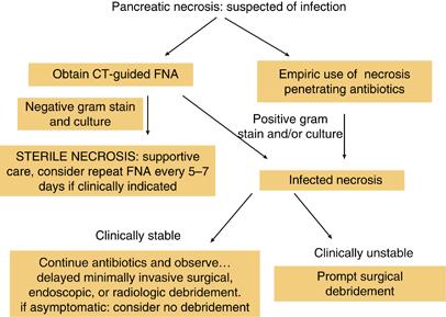 Figure 1. Management of pancreatic necrosis when infection is suspected.