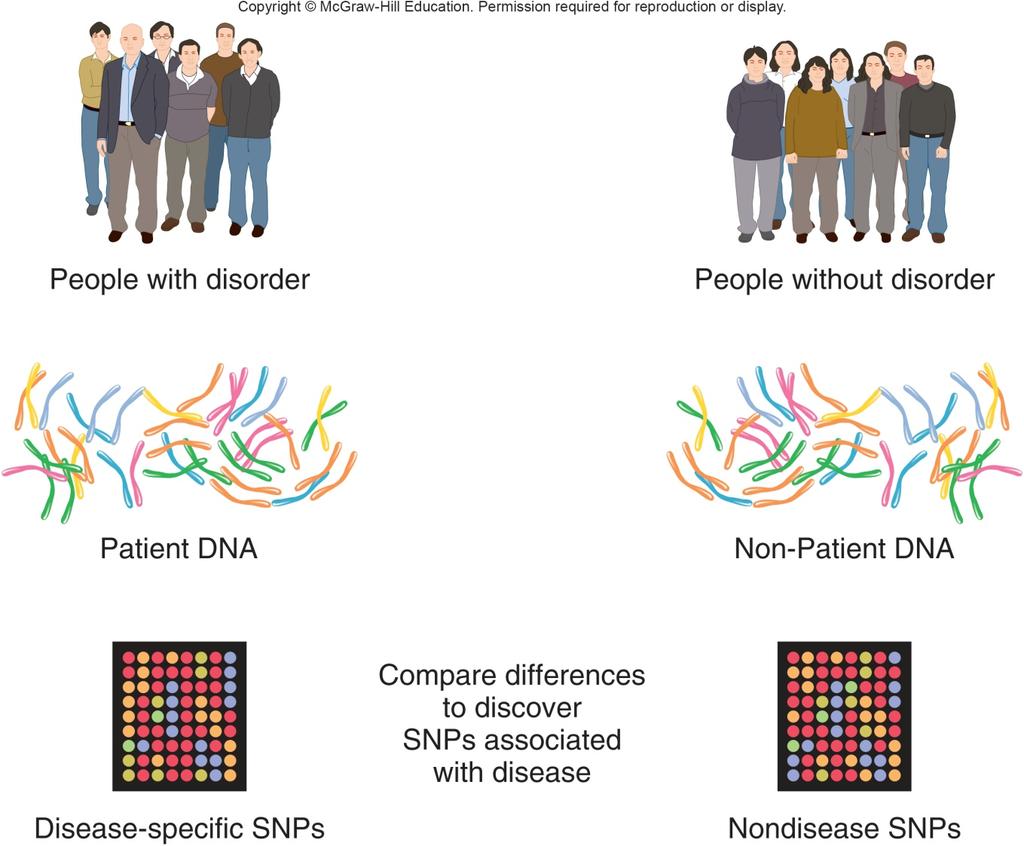 Genome-wide association studies seek genomic variations that are shared with much greater frequency among individuals with the same trait than among others