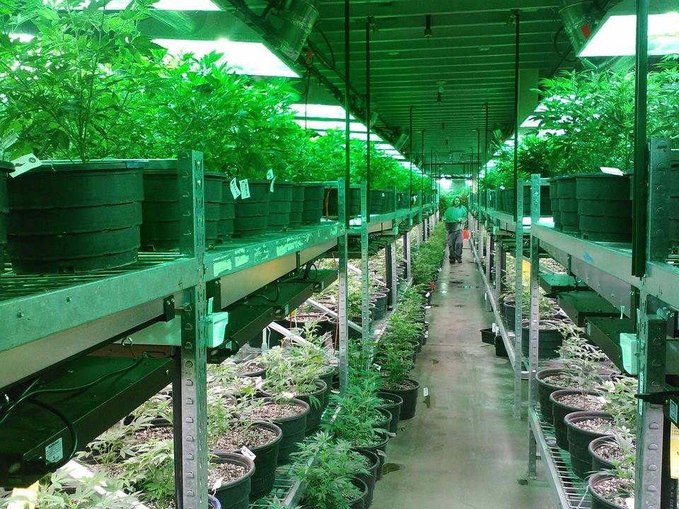Medical Marijuana PERMIT APPLICATIONS In order to receive a permit for a medical marijuana growing/processing facility or dispensary, an application must provide verification of all principals,