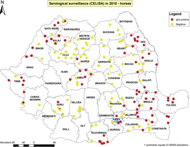 ECDC/WHO REGIONAL OFFICE FOR EUROPE JOINT MISSION REPORT West Nile virus infection outbreak in humans in Romania, 2010 Figure 3: Seronegative and seropositve horses by anti-wnv IgG, included in WNV
