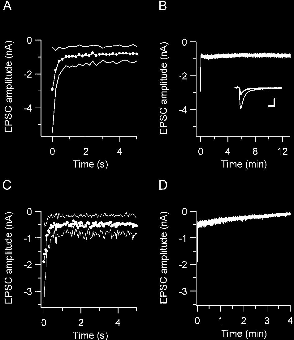 de Lange et al. Vesicle Pools in the Calyx of Held J. Neurosci., November 5, 2003 23(31):10164 10173 10169 Figure 4. Stability of synaptic transmission at 5 Hz and 20 Hz.