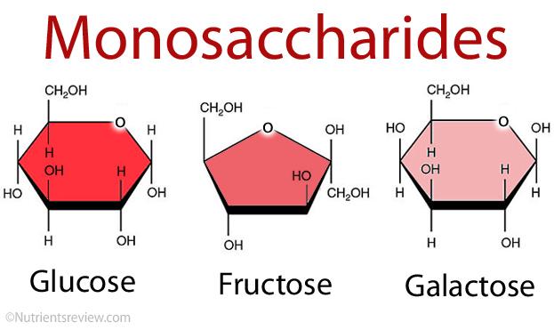 Carbohydrates: Monosaccharides Monosaccharide: one sugar unit 1C: 2H: 1H