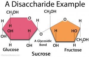 Carbohydrates: Disaccharides Disaccharide: two sugar unit Examples: