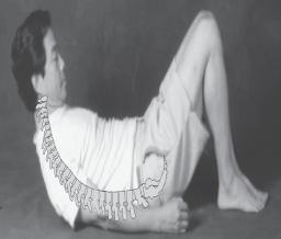The conscious breathing process described in Full Body Breathing is used during the Tao Yin exercises.