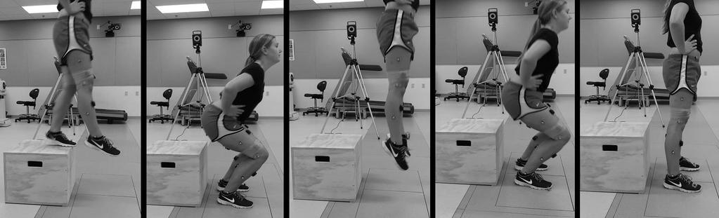 30 on each force plate. Directly after landing, the subject performed a maximal height jump. Throughout the jump, the subject was required to maintain her hands at her waist.