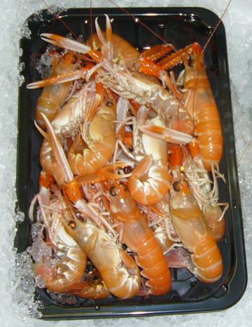 It is stated by Simon Buckhaven, the inventor of the CrustaStun, that it is not only a fast and efficient way of killing a lobster, but that as it reduces the stress that the animals goes through,