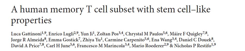 Identification of T Stem Cells Memory (T SCM ) T SCM represent a recently-discovered subpopulation of T cells that persist for extremely long periods of time T SCM cells are the least differentiated