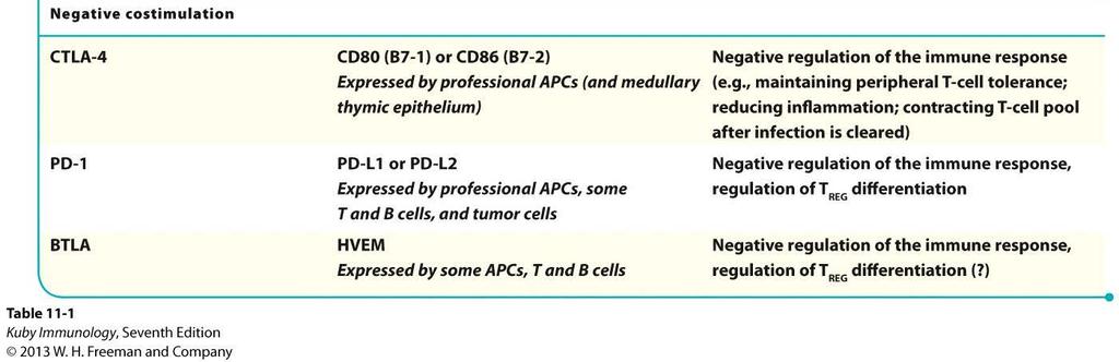 Mechanisms of Peripheral T Cell