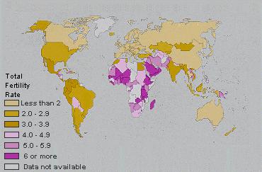 Global Fertility Rates World Fertility Patterns 1997