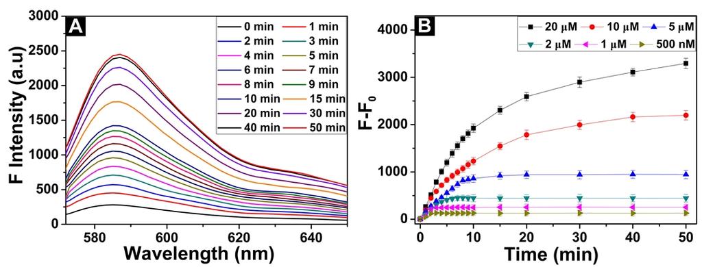 (365 nm). 7) Fluorescence emission spectra of resorufin-7--phosphate Fig.