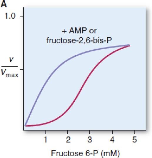 a)regulation of PFK by AMP, ATP and fructose 2, 6 phosphate: The allosteric activators of PFK1 are