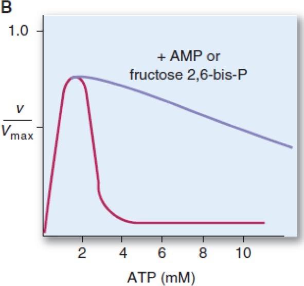 When AMP level is high, this means that the energy charge of the cell is low.