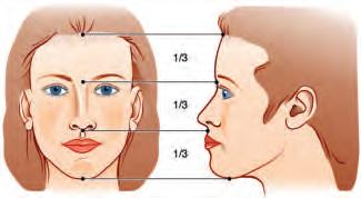10 Open Structure Rhinoplasty A Manual of Surgical Skills Training There are universally accepted differences between the male and female nose. Both should be symmetrical.