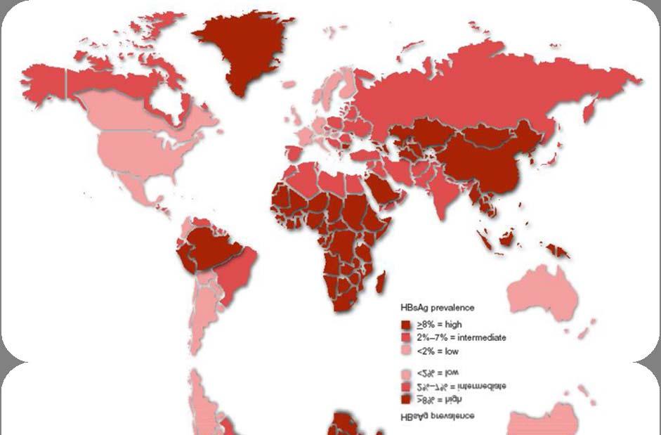 Global Distribution of Hepatitis B (2008) n 1 in every 12 Asian Americans are living with chronic HBV FIGURE 1.