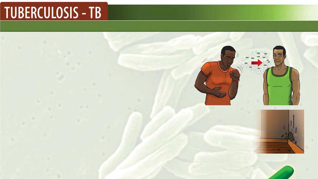 Find people with TB: The more untreated TB cases The greater the chance that