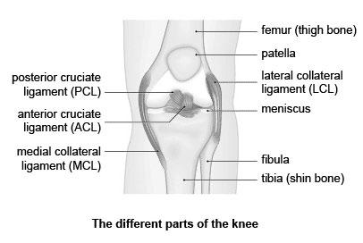 About knee arthroscopy In the late 1970s and early 1980s, arthroscopic surgery became popular, especially in the sports world, as fiber-optic technology enabled surgeons to see inside the body using