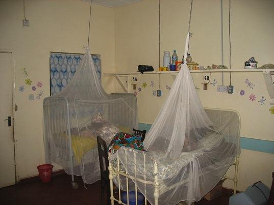 Education Continued Sleep under mosquito net, check your bed-net for holes