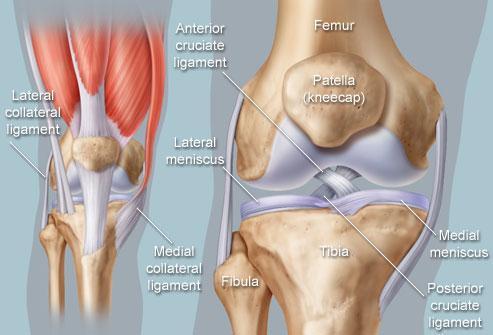 Knee pain Anterior (front) knee pain: Common with kicking, wall push-off, and starts/turns, squats, running Girls