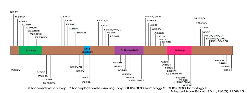 BCR-ABL1 mutation testing by conventional Sanger sequencing is